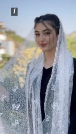 شال گیپور عنکبوتی پاپیون دانتل دار اصل(1504) - Image 10