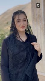 شال گیپور عنکبوتی پاپیون دانتل دار اصل(1504) - Image 3