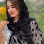 شال شیفون مخملی دانتلدار ترک (1443)